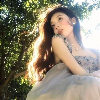 钢木兰